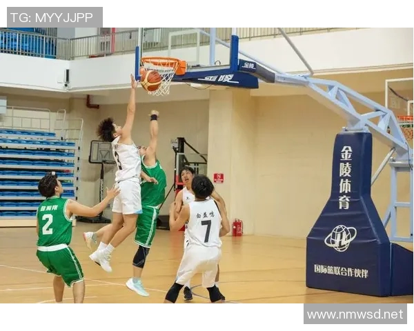 友谊赛中的竞技与合作精神：跨国交流与体育文化融合的新篇章