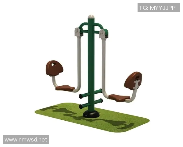 深度解析健身器材选材标准与误区