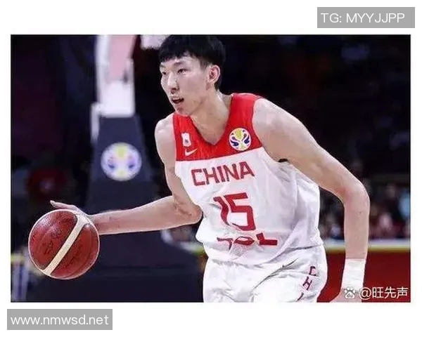 深度解析深圳篮球队球员个人能力差异与战术影响