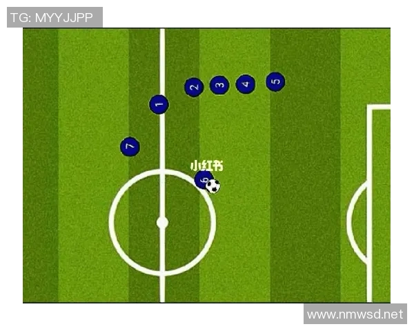 南京飞盘队阵地战打法深度解析与战术应用探讨