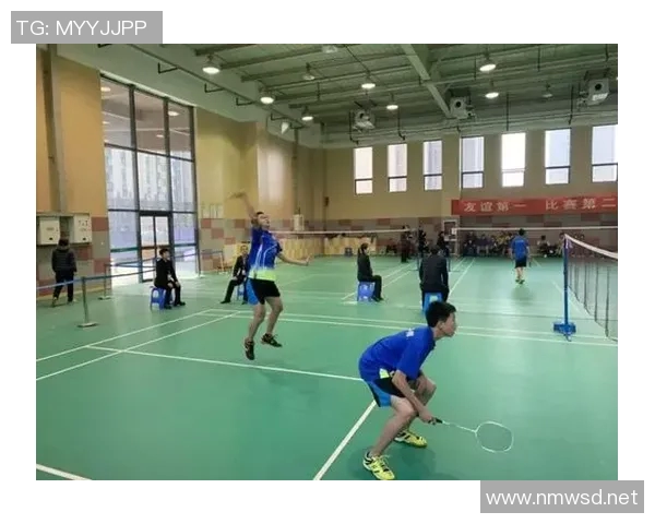 西安羽毛球队在精英赛中的技术表现分析与点评