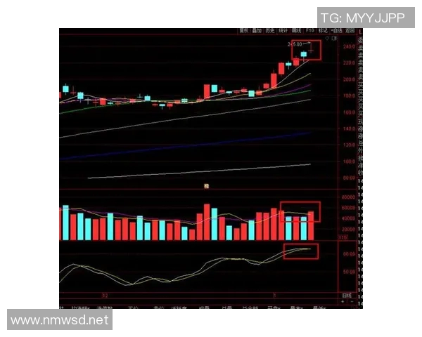上海足球队反击战术解析及其对联赛形势的影响探讨