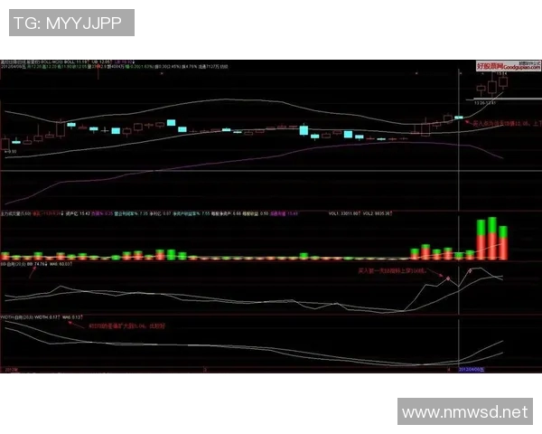 北京篮球队在洲际杯中的强势表现与未来发展潜力分析